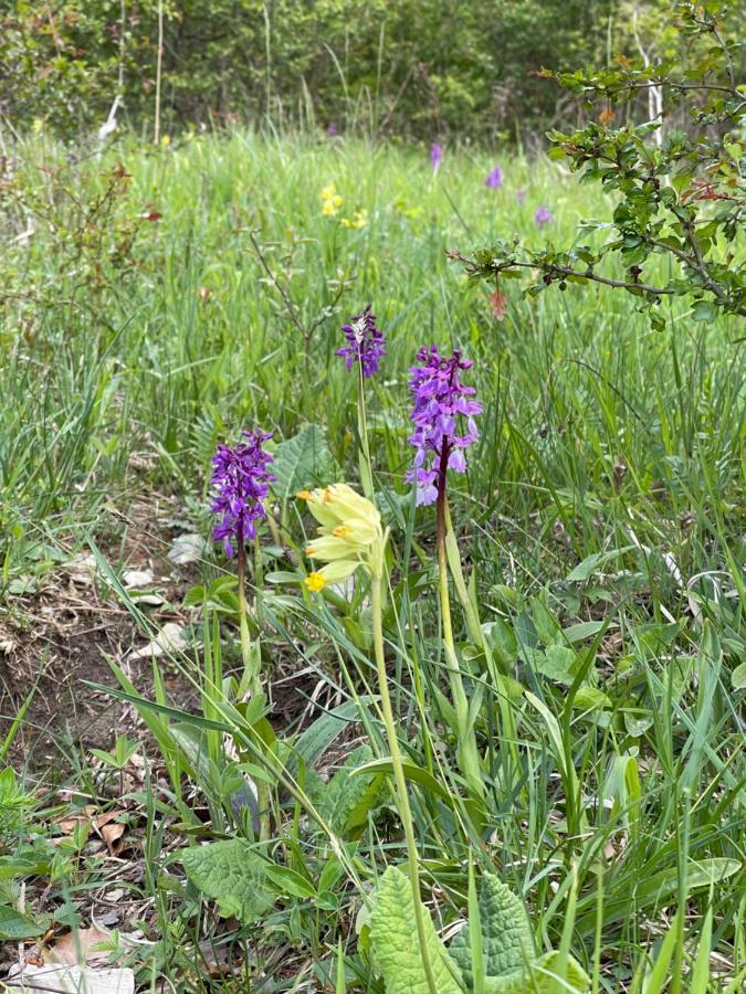 Ferienwohnung Am Kalkweg Bad Sooden-Allendorf Zewnętrze zdjęcie